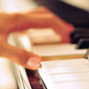 免费观看黄色小说
