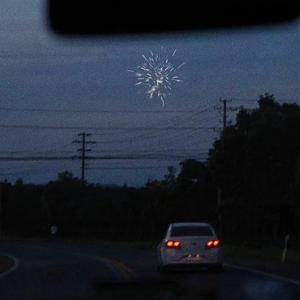 免费观看黄色小说
